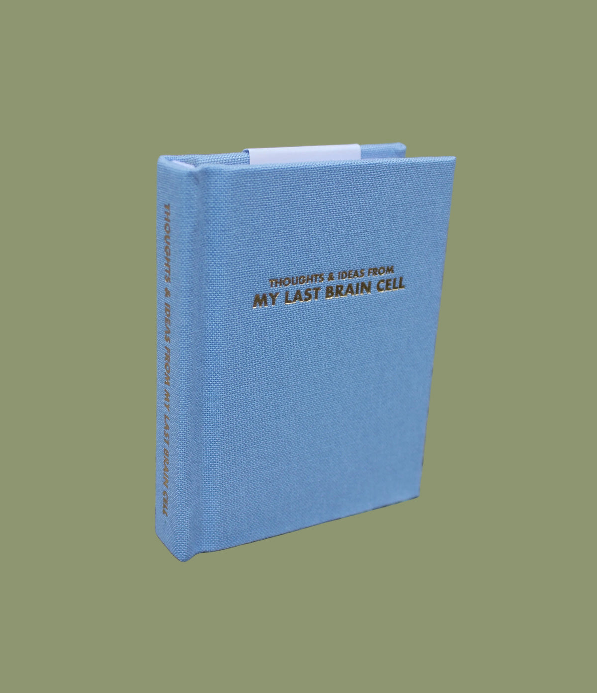 Thoughts & Ideas From My Last Brain Cell Pocket Notebook