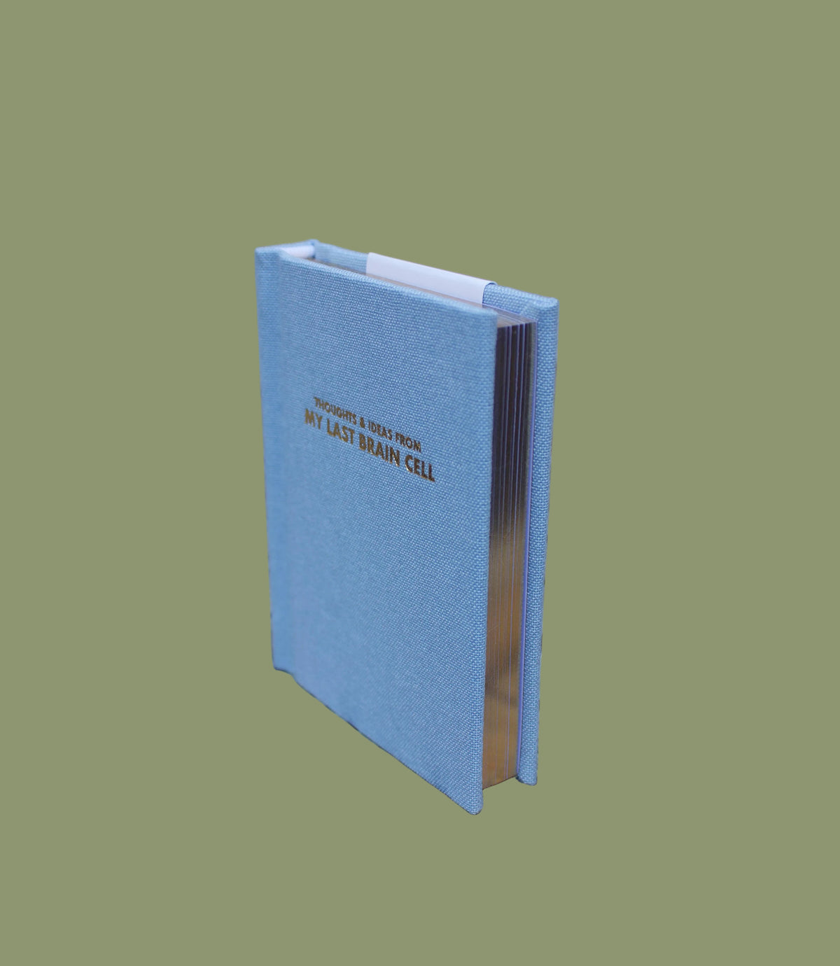 Thoughts & Ideas From My Last Brain Cell Pocket Notebook