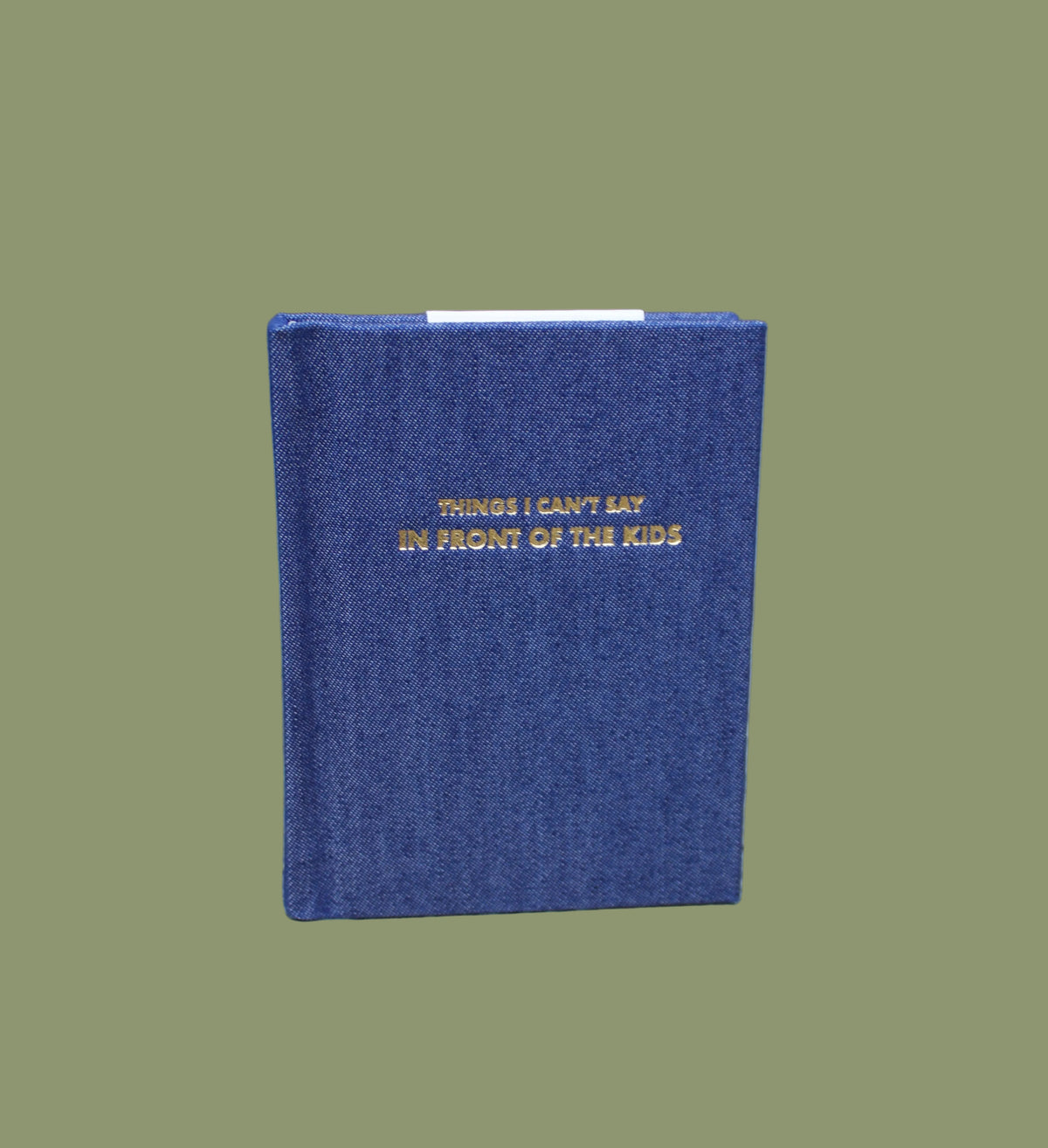 Things I Cant Say In Front Of The Kids Pocket Notebook