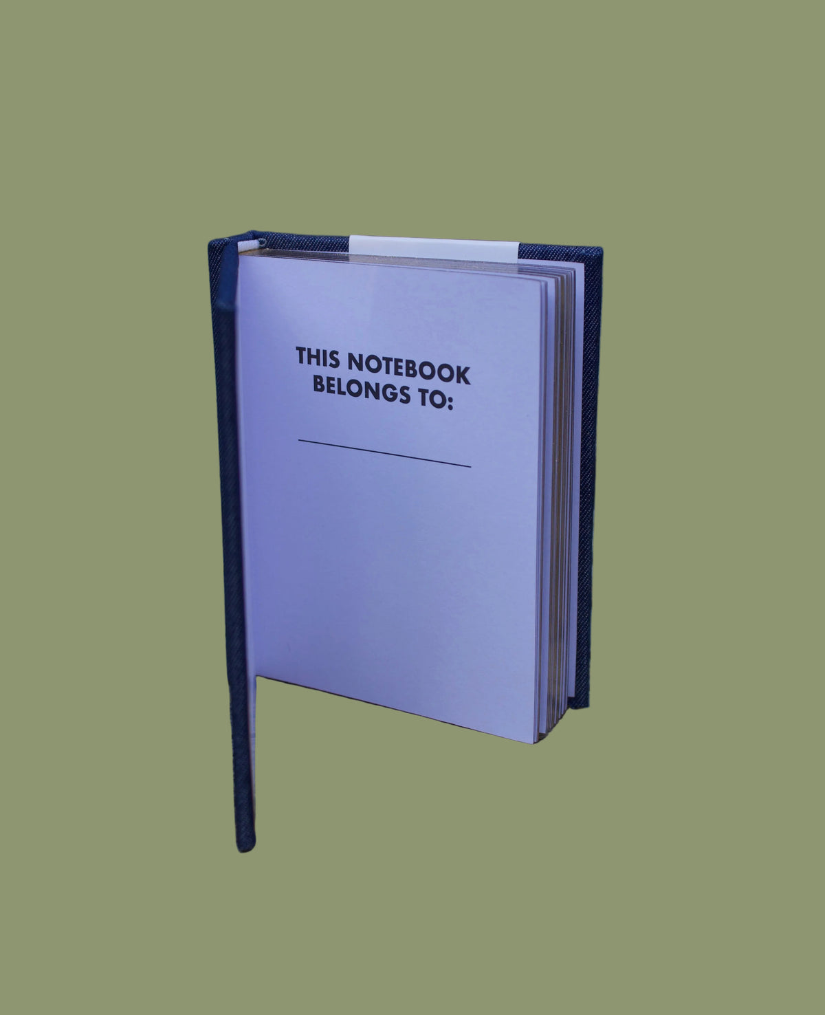 Things I Cant Say In Front Of The Kids Pocket Notebook