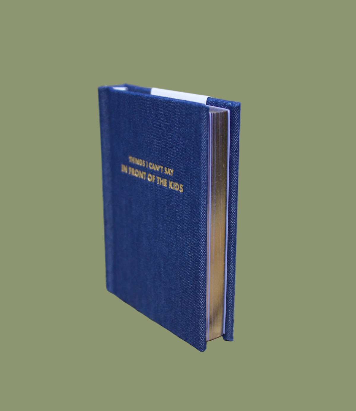 Things I Cant Say In Front Of The Kids Pocket Notebook