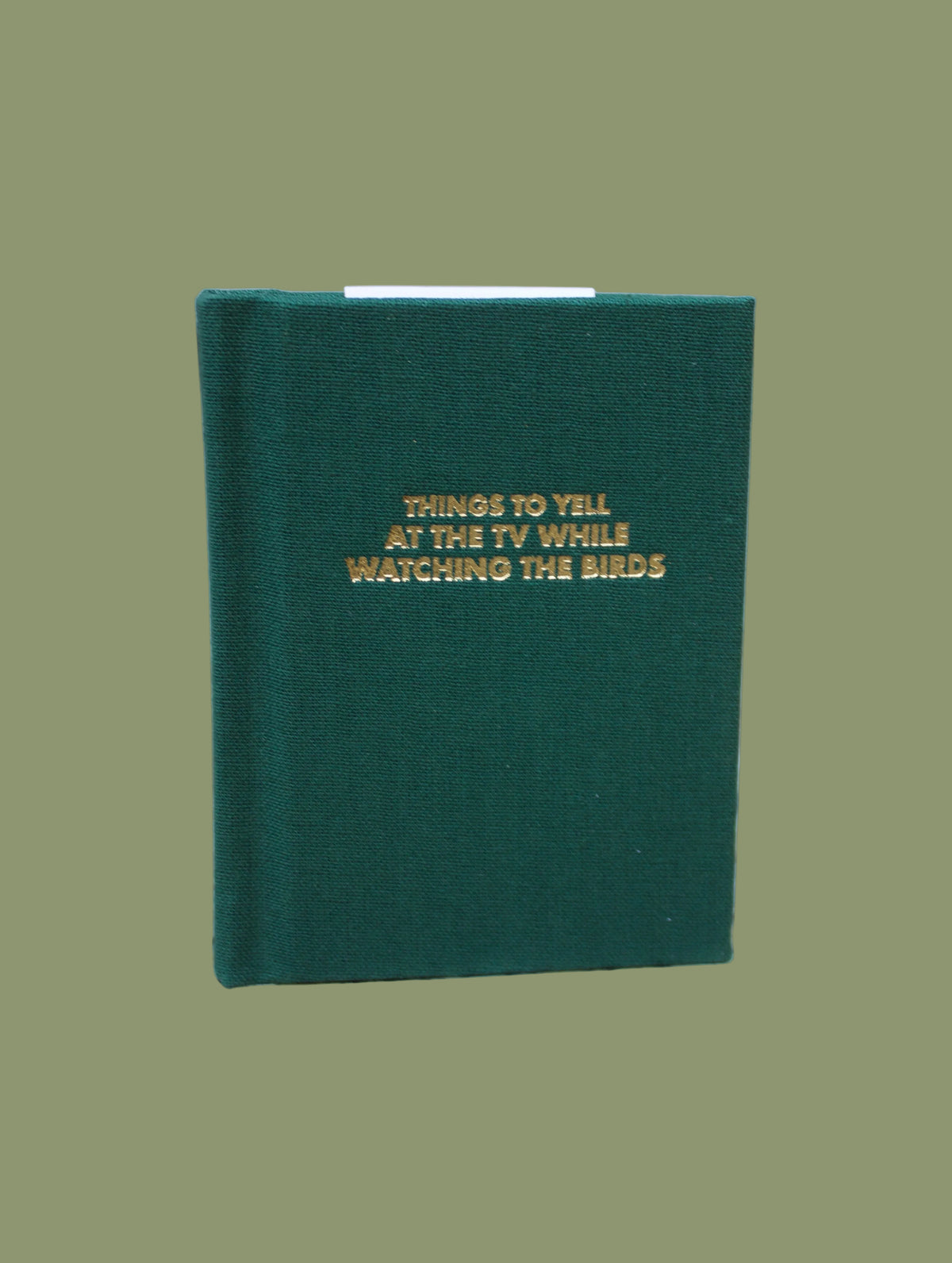 Things To Yell At The TV While Watching The Birds Pocket Notebook
