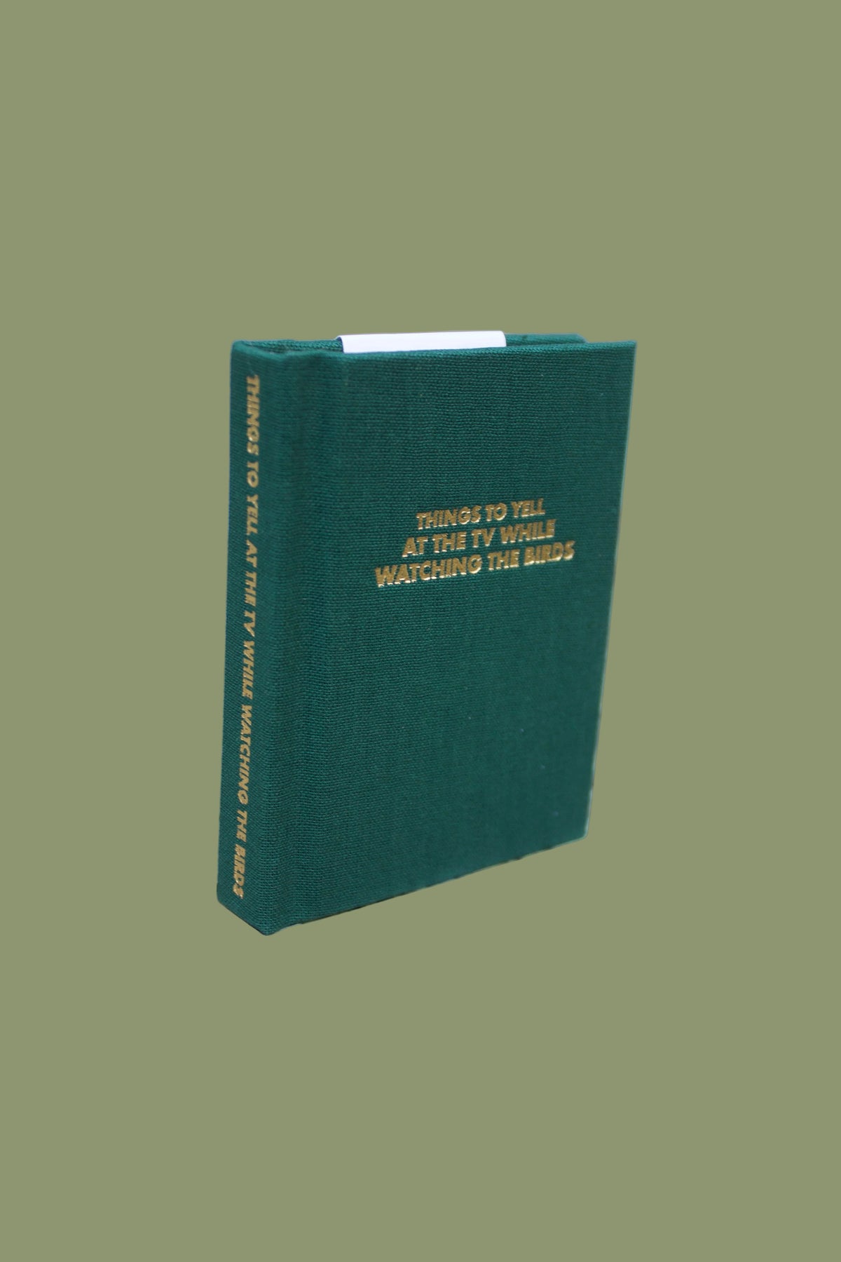 Things To Yell At The TV While Watching The Birds Pocket Notebook