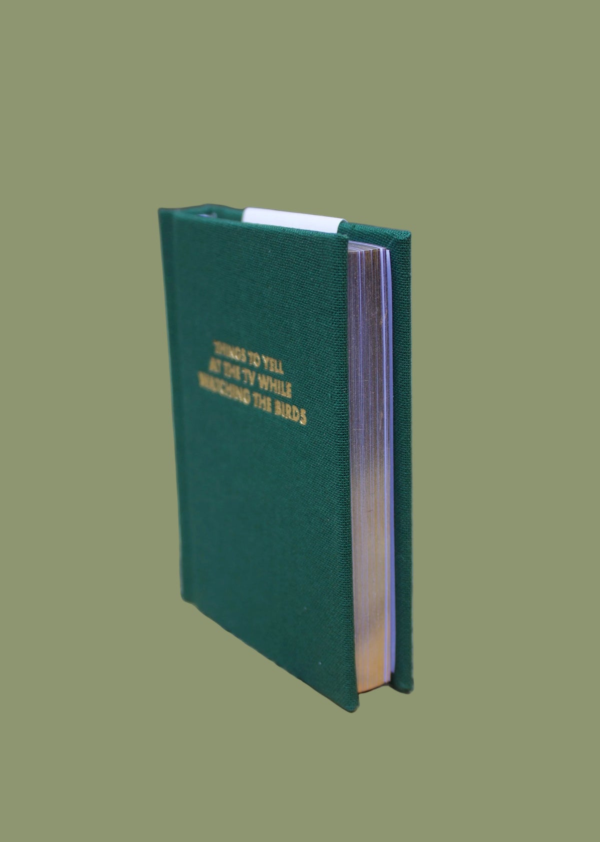 Things To Yell At The TV While Watching The Birds Pocket Notebook
