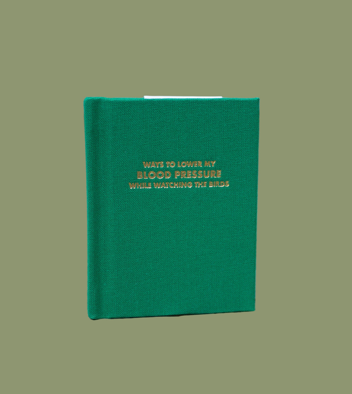 Ways To Lower My Blood Pressure While Watching The Birds Pocket Notebook