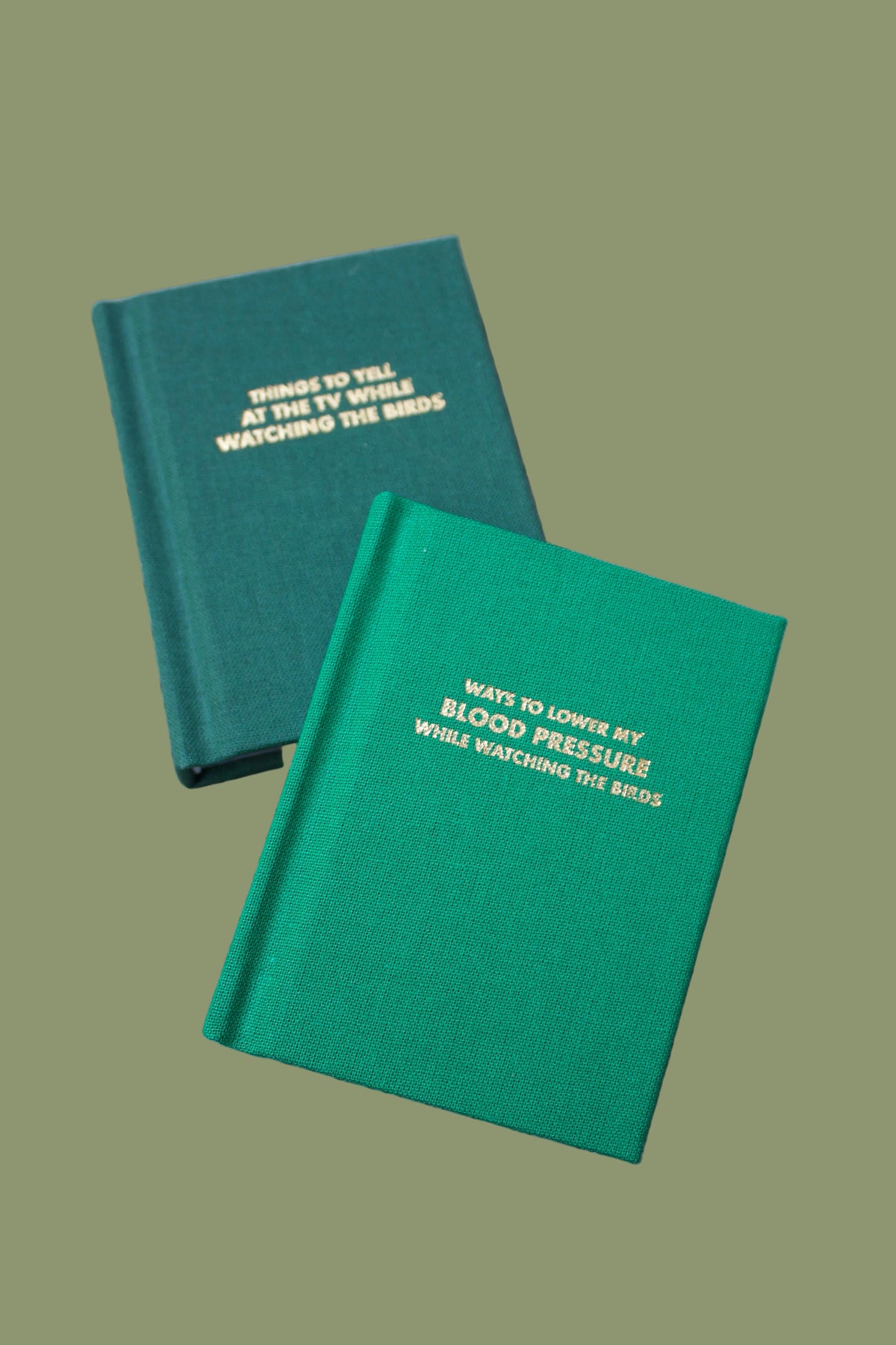 Ways To Lower My Blood Pressure While Watching The Birds Pocket Notebook