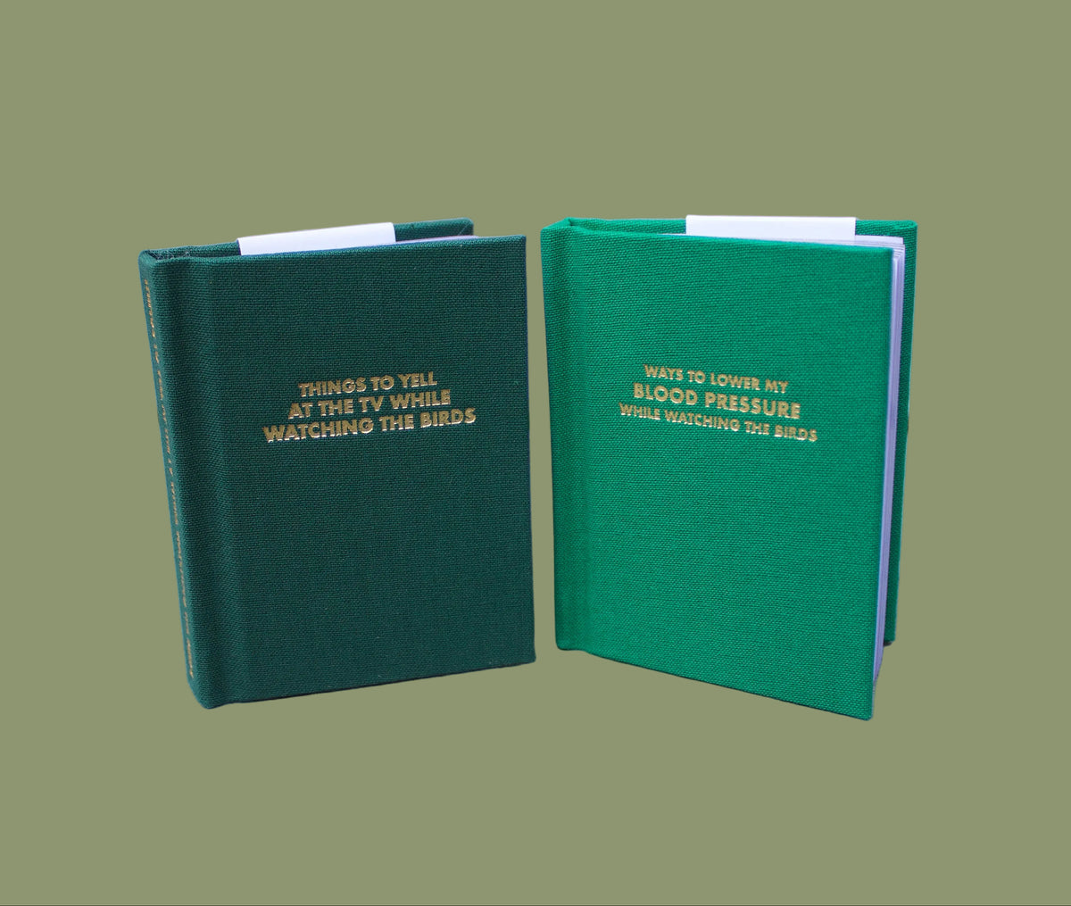 Things To Yell At The TV While Watching The Birds Pocket Notebook