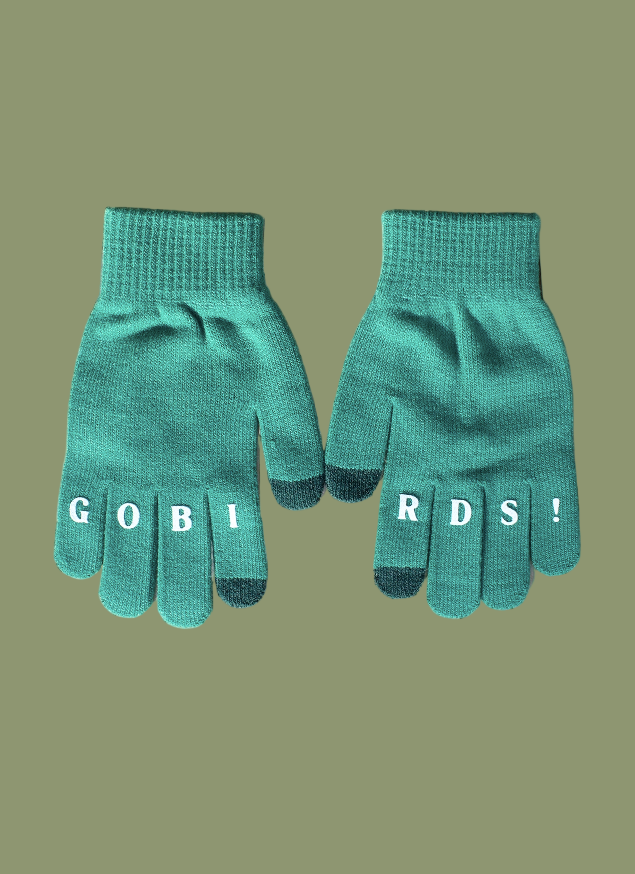 "Go Birds!" Touch Screen Gloves
