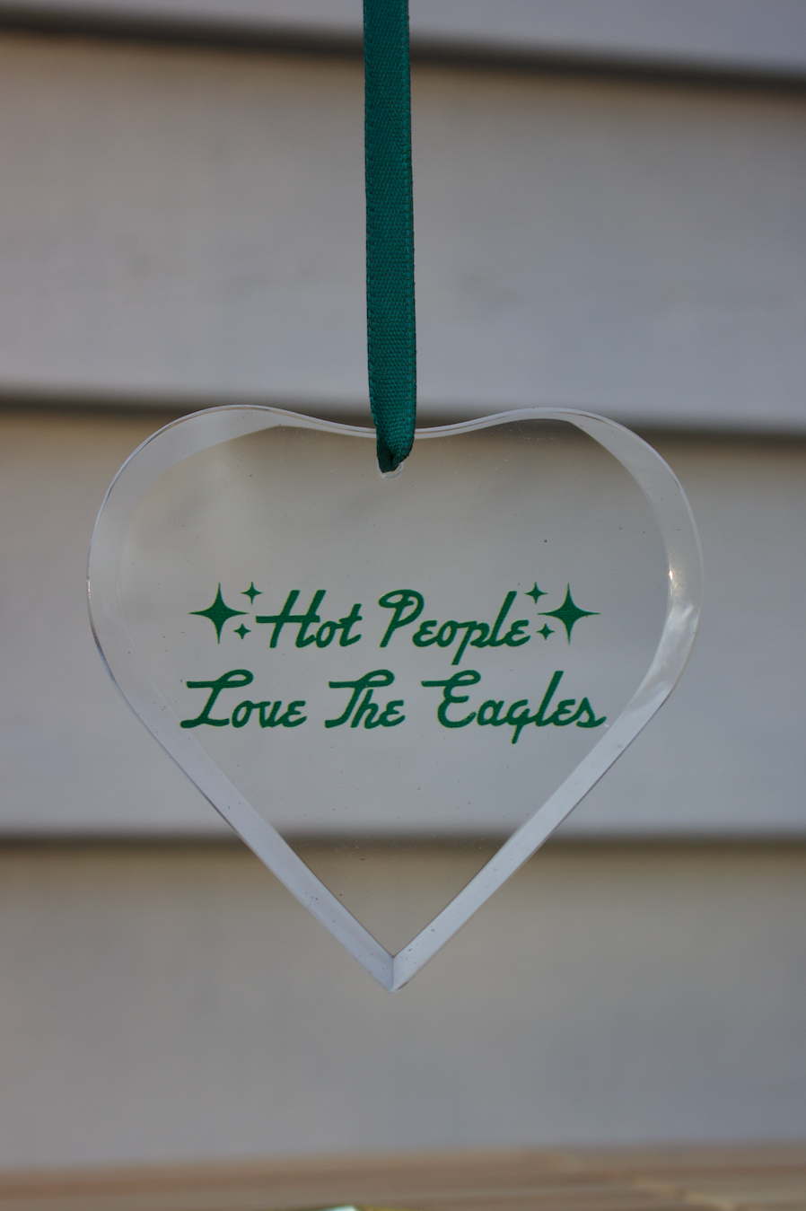 Hot People Love The Eagles Ornament